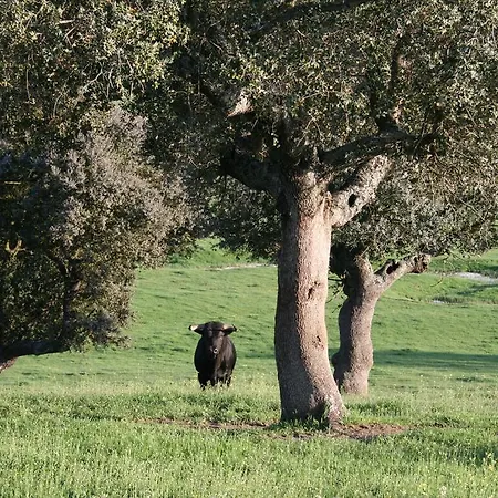 Séjour à la campagne Puente Mocho