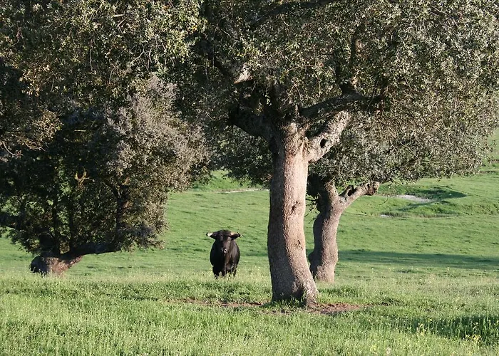 Εξοχικό σπίτι Puente Mocho